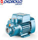 City Pumps Electric Surface Water Pump with Automatic Suction 1hp Single-Phase
