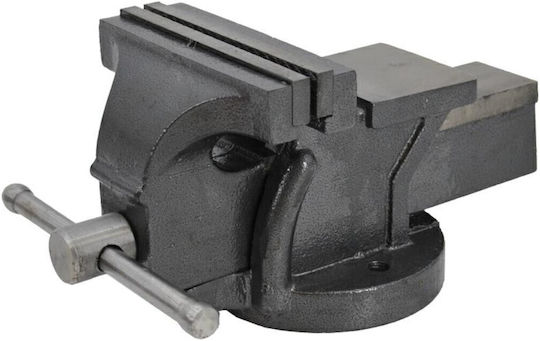 AWTools Fixed Vise Countertop Made of Cast Iron with Maximum Opening 125mm
