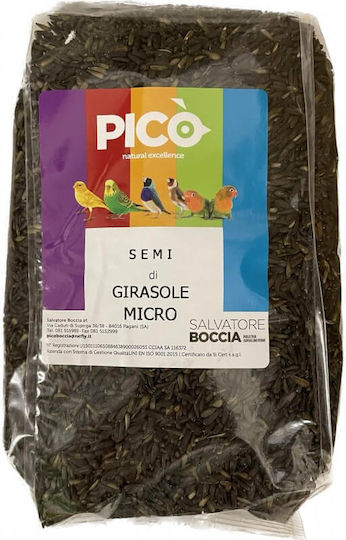 Pico Pico Girasole Micro Ηλιόσπορος Ψιλός Τροφή για Παπαγαλάκια 1kg