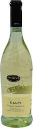 Canti Weiß Trocken 750ml