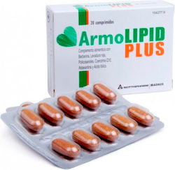 Mylan Armolipid Plus 20 Registerkarten