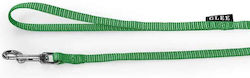 Glee Dog Leash/Lead Strap