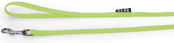 Glee Dog Leash/Lead Strap Μονος in Green color