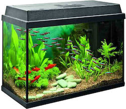 Greek Colal Fish Aquarium