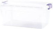 Violet Design Plastic Storage Box with Lid 5lt