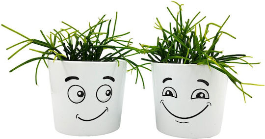Σύνθεση Rhipsalis Κασπώ Φατσούλα Διπλή