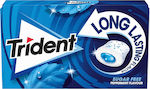 Trident Chewing gum 16pcs 22gr