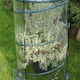 Verdemax 2643 Greenhouse