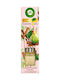 Air Wick Ätherische Öle Duftstäbchen Karamellisierte Birne Zimt 40ml