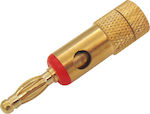 Banana male Connector 1pc