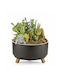 Array Flower Pot Set 2pcs 87328001868