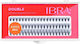 Ibra Tufts False Eyelashes Double Knot-Free 0.07 C-Mix 60 Pieces