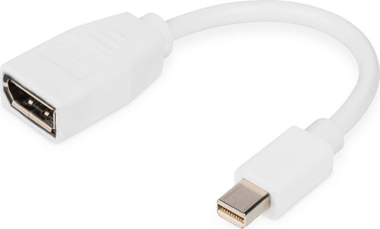 Digitus Converter mini DisplayPort male to DisplayPort female White 1pcs DB-340405-001-W