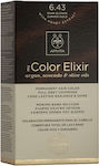 Apivita My Color Elixir Σετ Βαφή Μαλλιών Χωρίς Αμμωνία 6.43 Ξανθό Σκούρο Χάλκινο Μελί 125ml