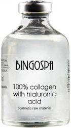 BingoSpa Cream 50ml