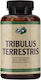 Pure Nutrition Tribulus Terrestris 1000 mg 45 Таблетки