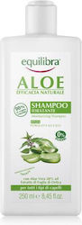 Equilibra Shampoo Rekonstruktion/Nahrung 250ml Equilibra Shampoo Rekonstruktion/Nahrung 250ml