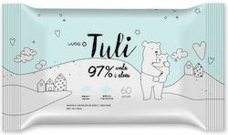 Luba 60 Wipes