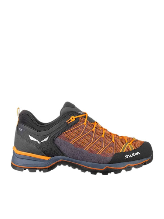 Salewa Mtn Trainer Lite Men's Hiking Shoes Blue
