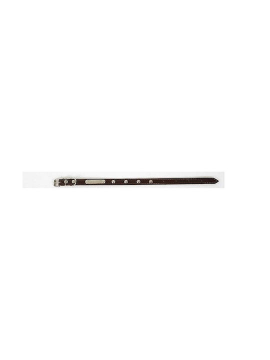 Ikaros Hundehalsband Leder in Braun Farbe 30mm