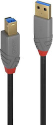 Lindy 36743 USB 3.0 USB-A мъжки към USB-B мъжки Бял 3м