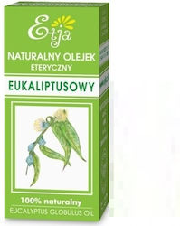 Etja Αρωματικό Έλαιο Ευκαλύπτου 10ml