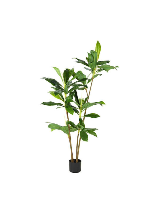 Изкуствено дърво за външно пространство Dracaena Драцена Черен 175см Next