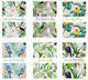 Ziemia Obiecana Set 5 Notebooks A5 Square