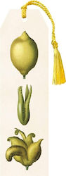 Skona Ting Bookmark