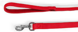 Glee Dog Leash/Lead Strap in Red color