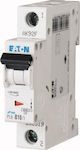 Eaton Automatische Sicherung 10A Einpolig 286519