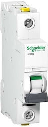 Schneider Electric Automatic Circuit Breaker Single-pole A9F03113