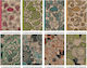 Fresh Carnet 80 Foi Cu dungi (Diverse modele/culori)