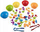Montessori Educational Game Knowledge