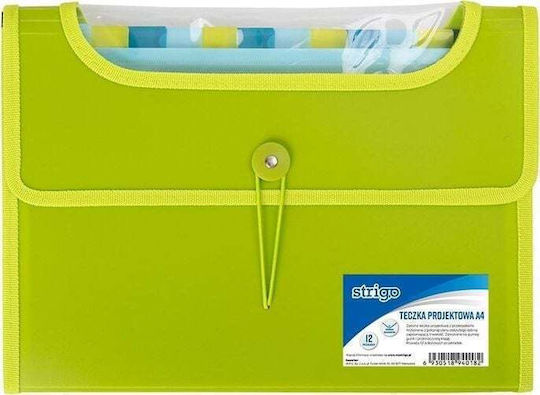 Folder Strigo Pp A4 12 Green Dividers