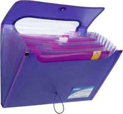 Strigo A4 Folder 12 V-file Dividers Purple Strigo