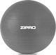Zipro Ball Pilates 55cm 0.9kg in Gray Color