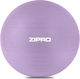 Zipro Μπάλα Pilates 65cm , 1.11kg σε Μωβ Χρώμα