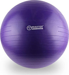 Master Μπάλα Pilates 55cm σε Μωβ Χρώμα Master Μπάλα Pilates 55cm σε Μωβ Χρώμα