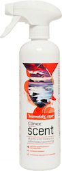 Clinex Υγρό για Αμάξωμα 500ml