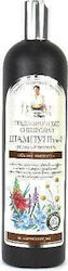 Babuszka Agafia Shampoo Rekonstruktion/Nahrung 550ml
