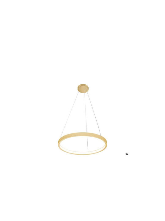 Luma Pendant Light LED with Warm White Light Gold