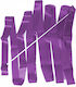 Level-S Rhythmische Gymnastikband 6m Lila