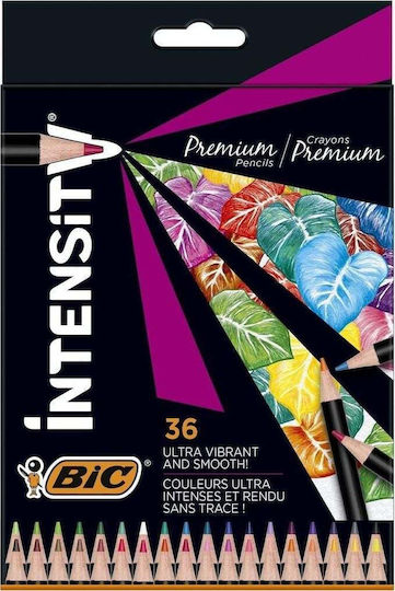 BIC Μαρκαδόροι Ζωγραφικής Σετ 36 χρώματα