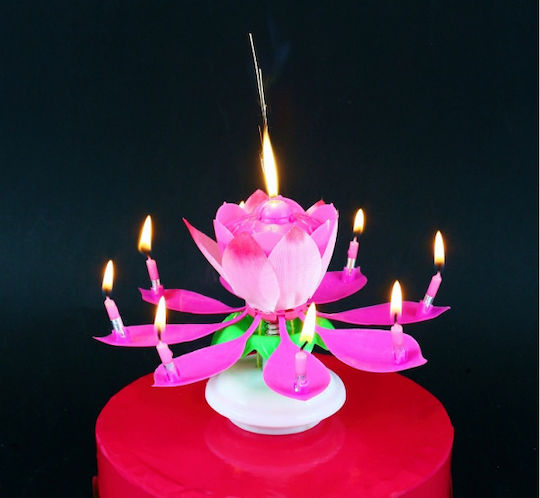 GoDan Birthday Candle in Pink Color SW-GRTP