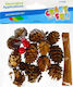 Craft with Fun Element decorativ pentru proiecte DIY Beige 17buc