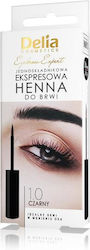 Delia Eyebrow Expert One-component Express Eyebrow Henna 1.0 Black 6ml