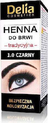 Delia Eyebrow Expert Traditional Eyebrow Henna 1.0 Black 2g Delia Eyebrow Expert Traditional Eyebrow Henna 1.0 Black 2g