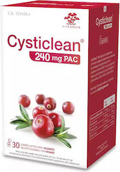Cysticlean Cysticlean Classic 240 mg PAC Cranberry-Beutel 30 Stück Cysticlean Cysticlean Classic 240 mg PAC Cranberry-Beutel 30 Stück