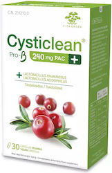 Cysticlean Cysticlean Prob 240 Mg Pac Probiotika Cranberry Kapseln 30 Stück Cysticlean Cysticlean Prob 240 Mg Pac Probiotika Cranberry Kapseln 30 Stück